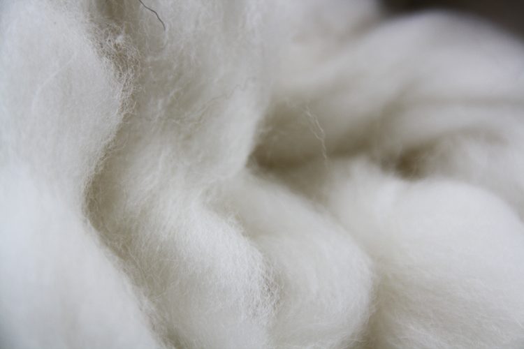 mooie zachte wol van een Merino schaap